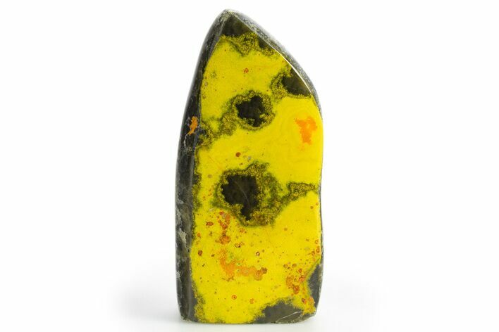 Very Vibrant, Free-Standing Polished Bumblebee Jasper #312067